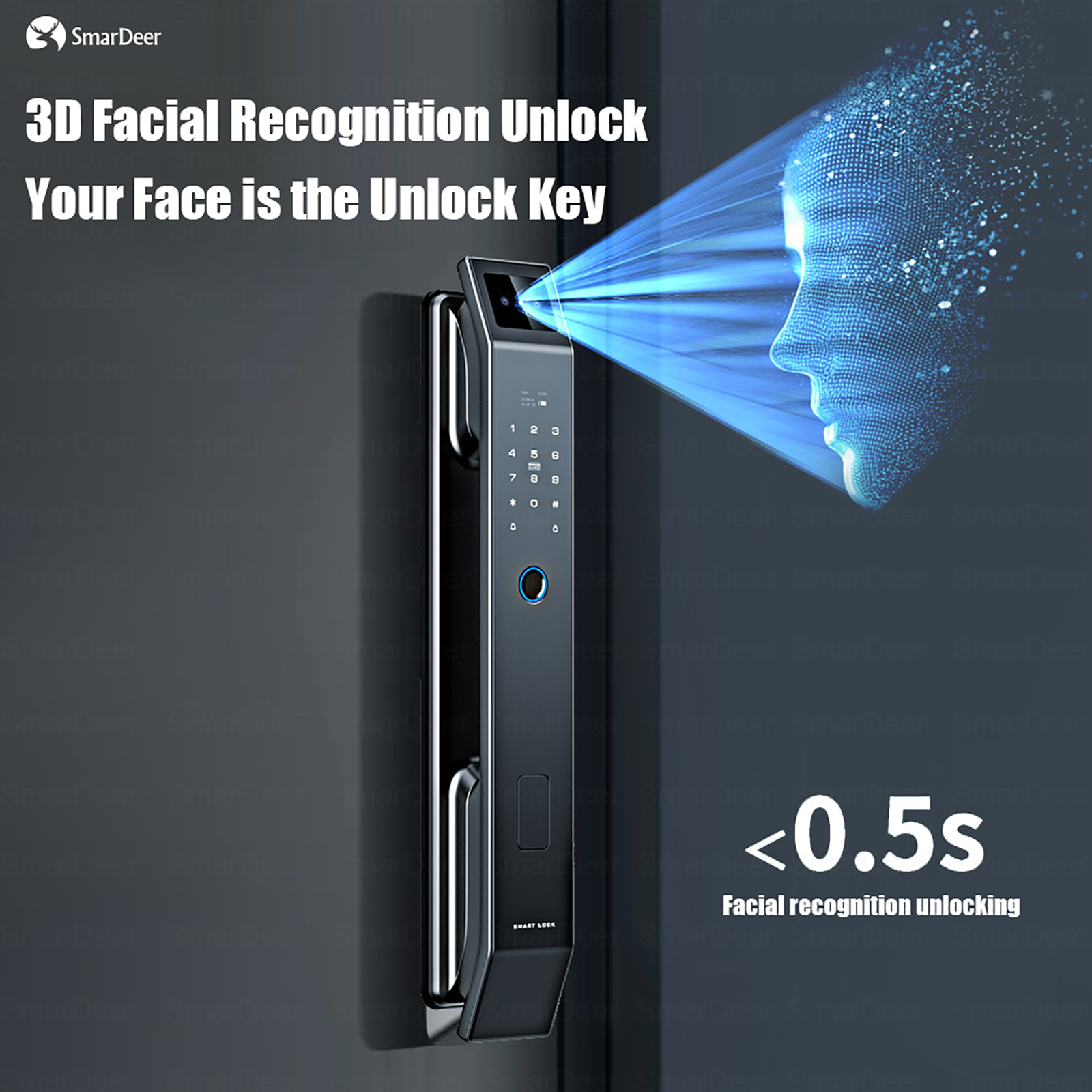 SmaerDeer Smart lock with Came - Graded Card Display review and price