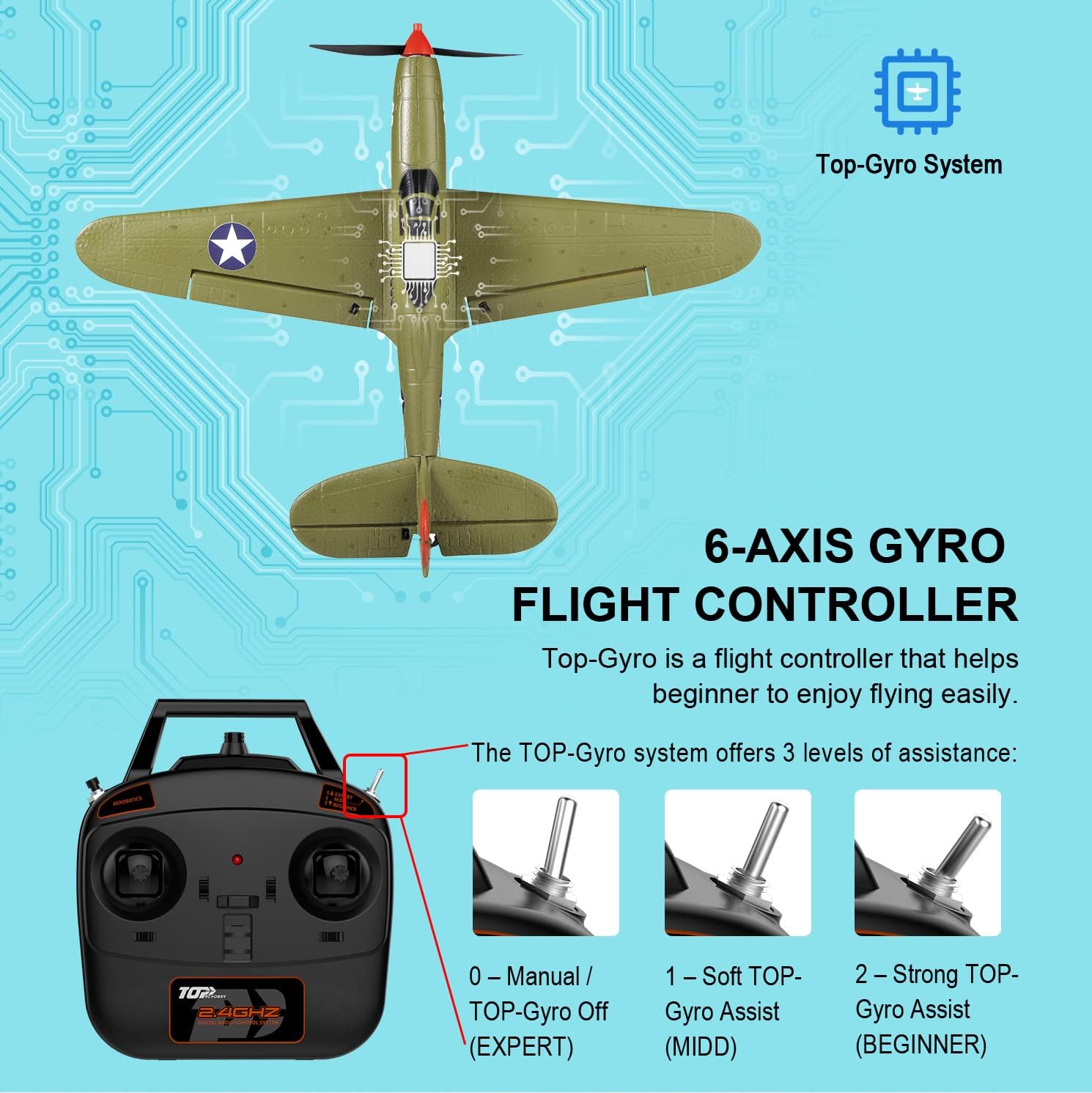 Ready-to-Fly 4-Channel RC Warb - Model Airplane Plastic review and price