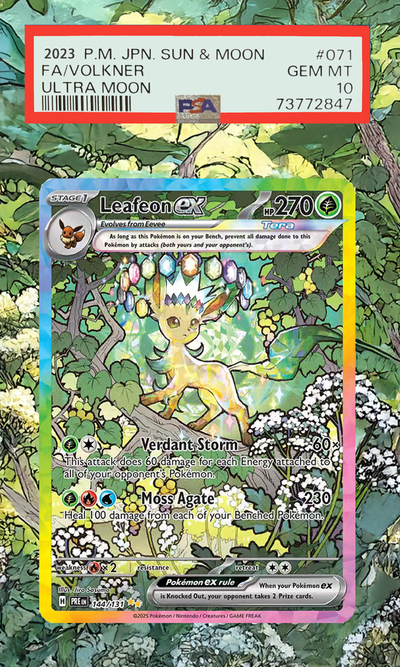 Pokemon Cards Display PTCG Lea - Display Case Acrylic review and price